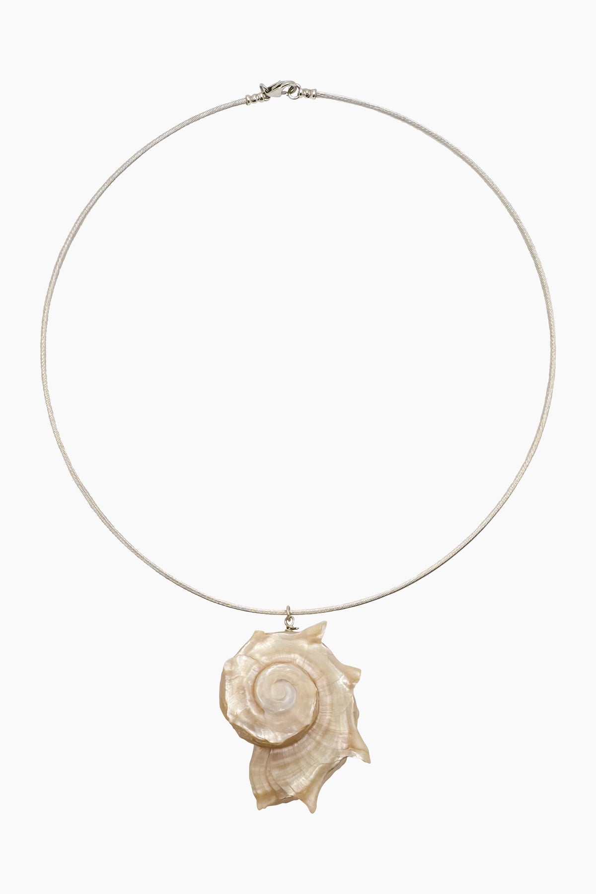 Thalassa Necklace featuring a sterling silver cable chain and an Angaria delphinus seashell pendant, shown in a flat lay against a neutral background.